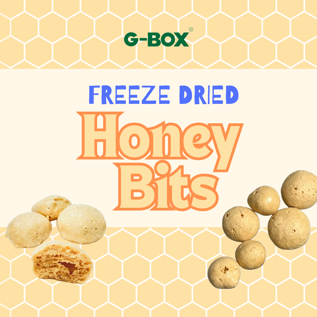 G-BOX FREEZE DRIED HONEY BITS CANDY-G-BOX
