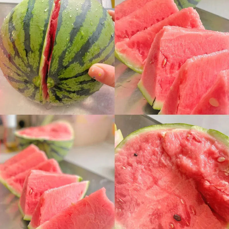 🍉 Semena melónu na potted