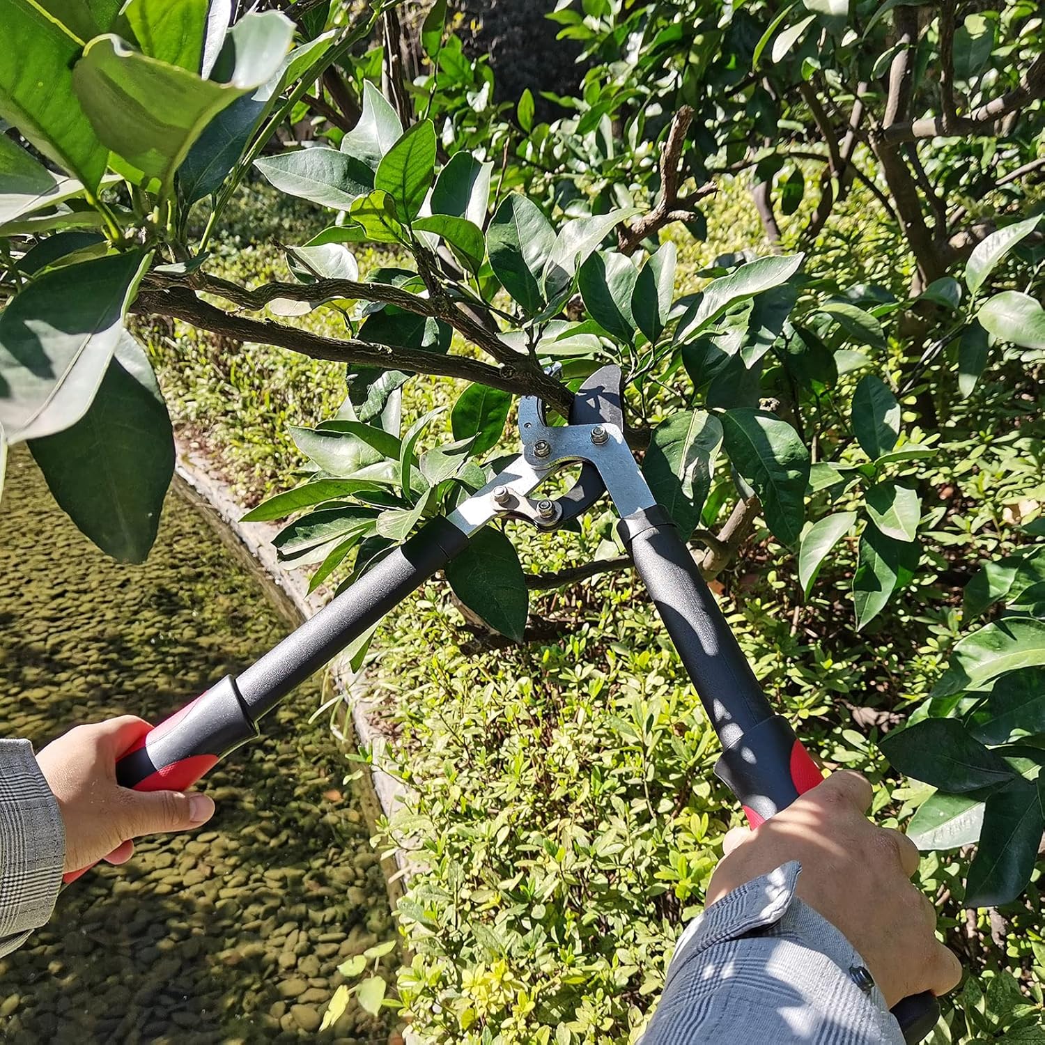 Lopper Heavy Duty Branch Cutter Tree Clippers with Compound Action