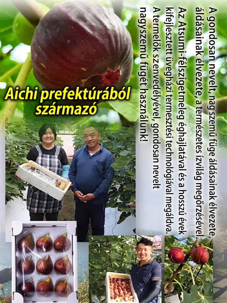 ✨"Kilencszer párolt és kilencszer szárított" cukormentes füge-eper-lenmag puha sütemény✨