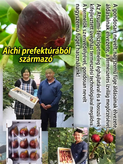 ✨"Kilencszer párolt és kilencszer szárított" cukormentes füge-eper-lenmag puha sütemény✨