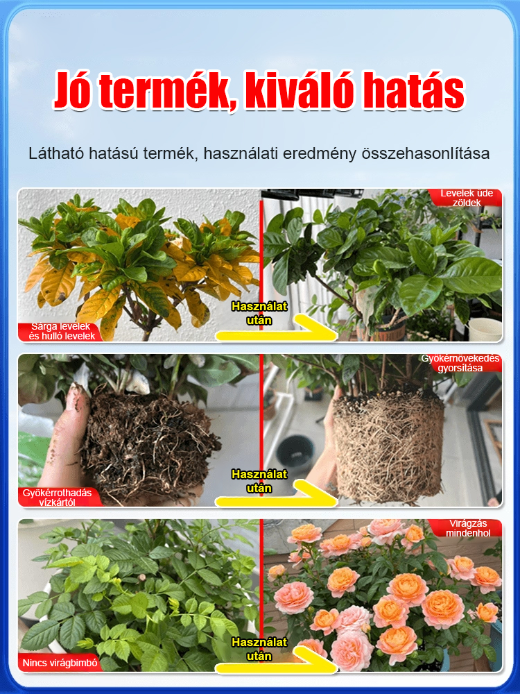 🪴【A száraz fák is kihajthatnak】 Gyors hatású regeneráló virágélesztő vízoldható műtrágya | Fekete foltok ellen · Halott palánták megmentése🌿