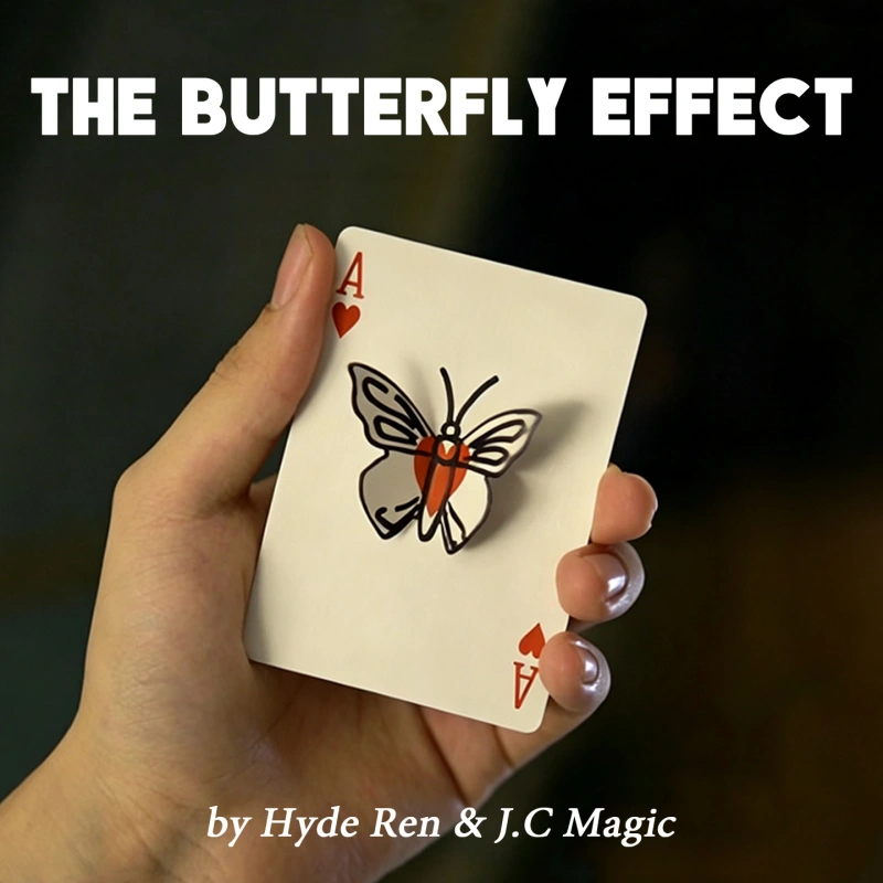 The Butterfly Effect