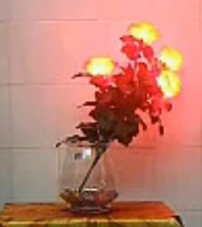 Light Roses Set - Remote Control