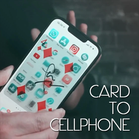 Card inserted into mobile phone (Chinese version)