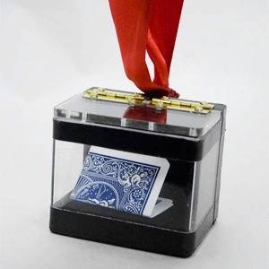 Chen Guanlin -- Ultimate Perspective Prophecy Box