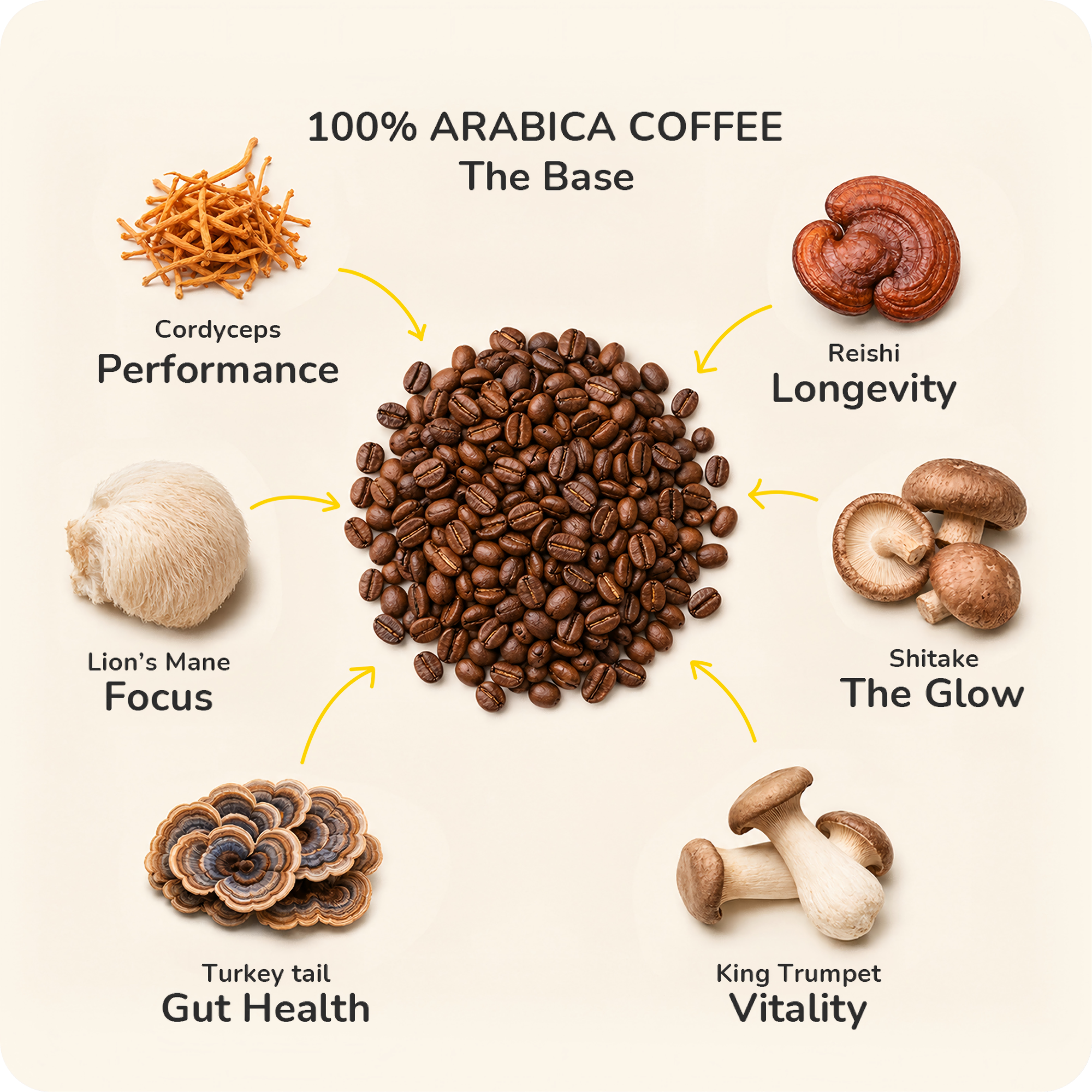 FungiMug Mushroom Coffee