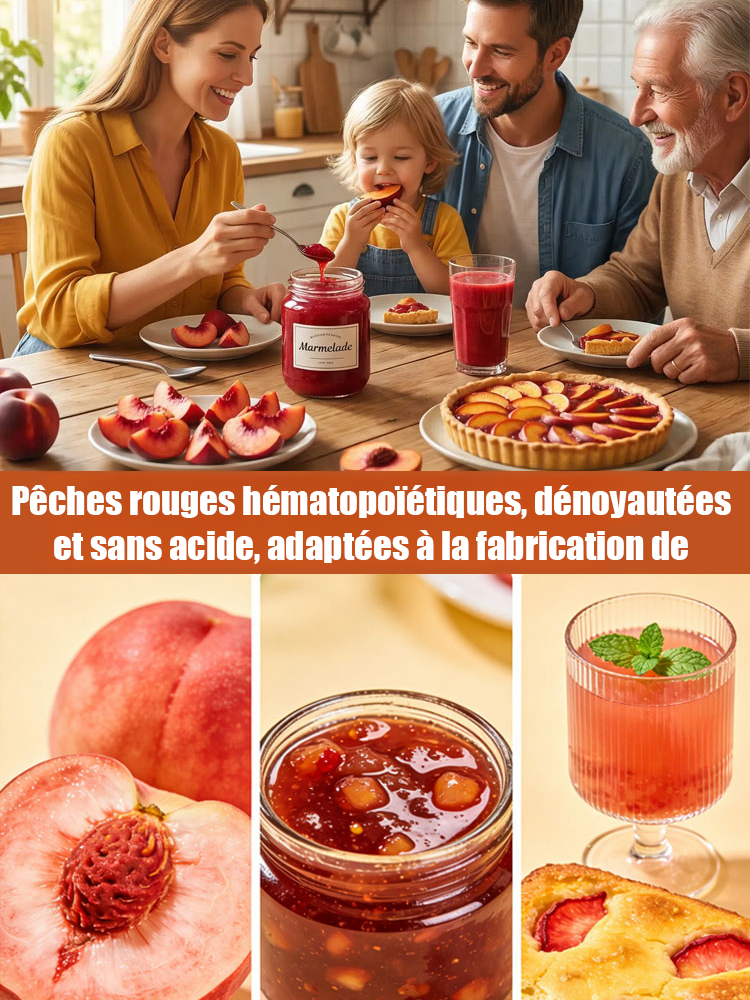 【Pêcher à chair rouge】Pousses d'arbres robustes et faciles à entretenir