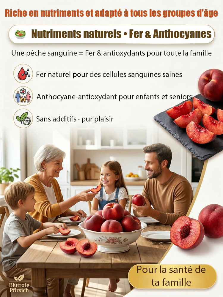 【Pêcher à chair rouge】Pousses d'arbres robustes et faciles à entretenir