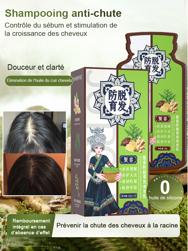 Hot Sale Ginger Plant Extract Anti-Hair Loss Hair Shampooing