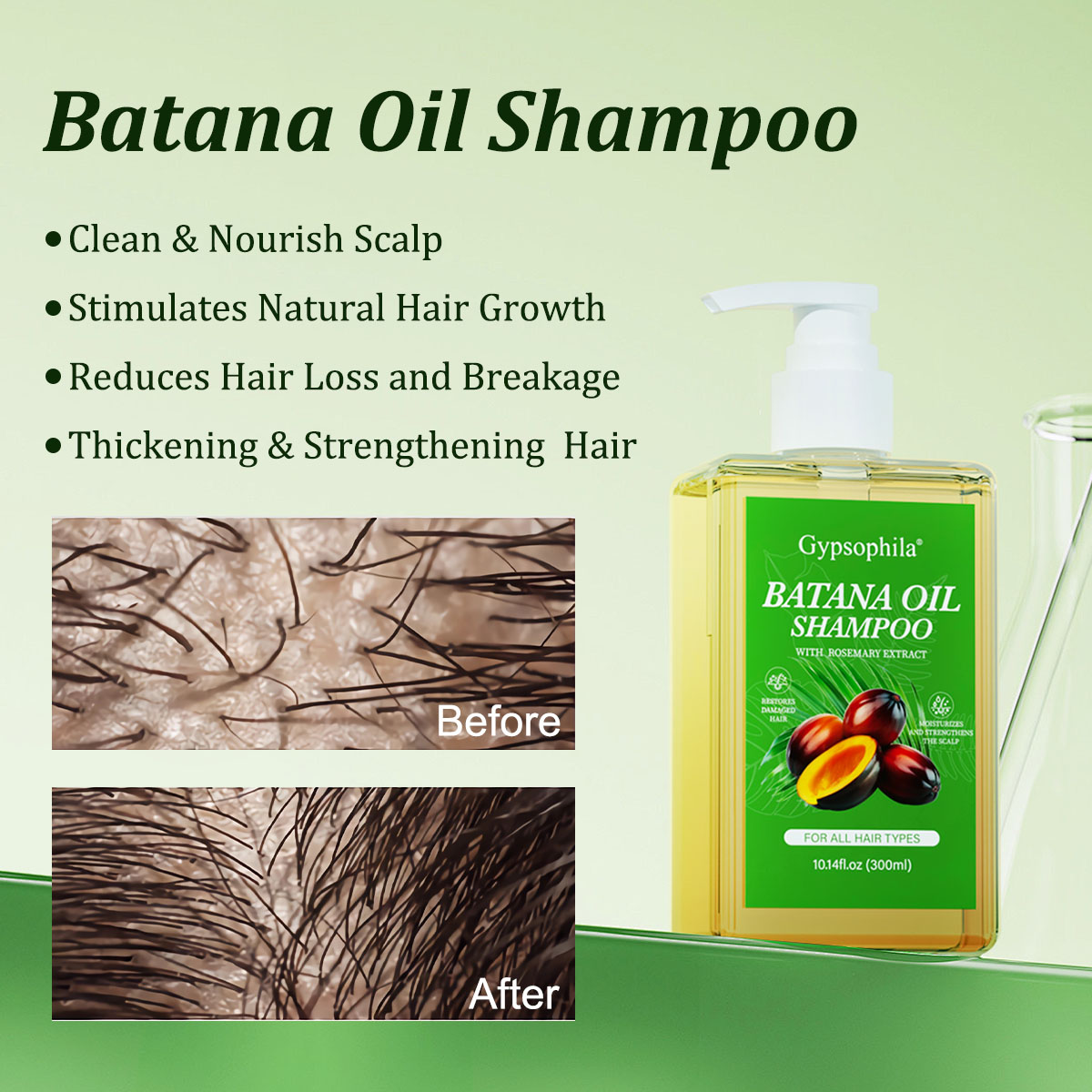 Gypsophila Batana Oil Shampoo & Rosemary - Nourishing & Regenerating Shampoo for Men & Women - Reduces Hair Loss & Enhances Volume (300ml / 10.14 fl oz)