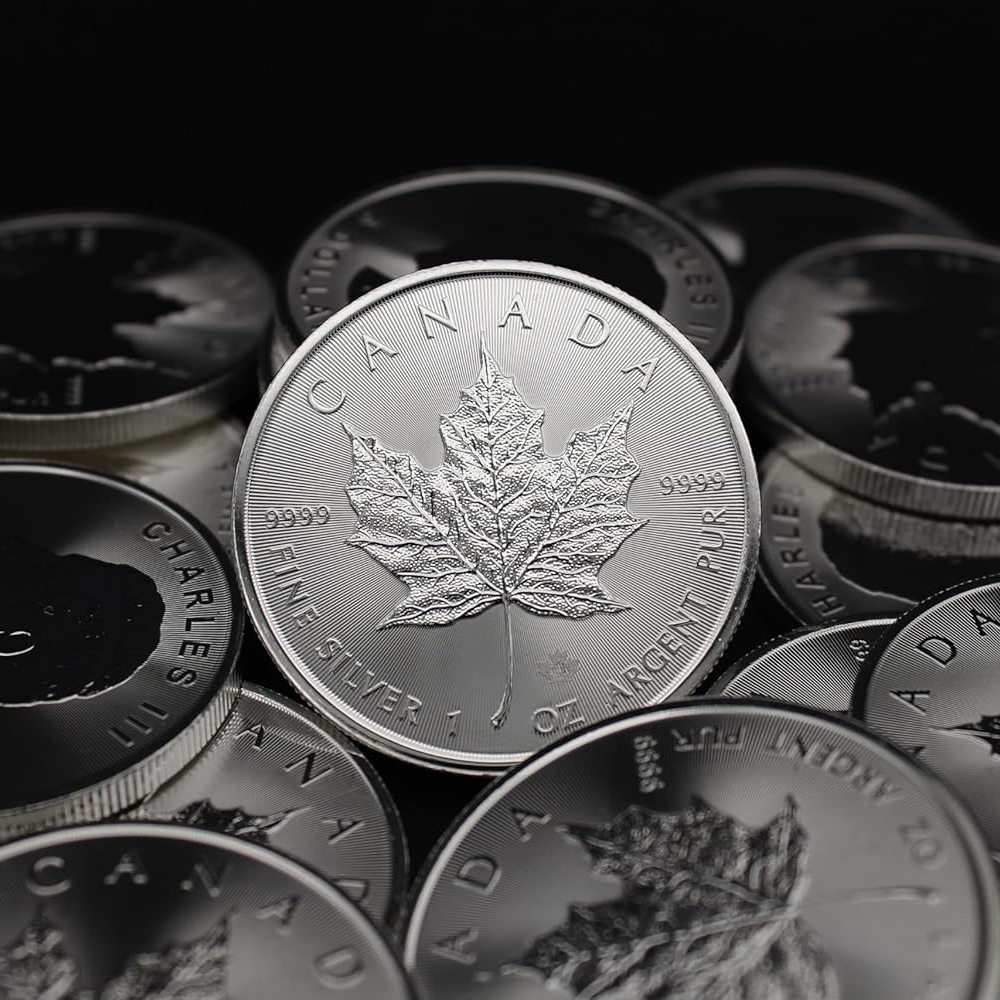 Last Day 60% OFF🔥🍁1 oz Canadian Silver Maple Leaf Coin (BU)