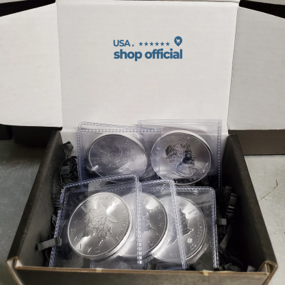Last Day 60% OFF🔥🍁1 oz Canadian Silver Maple Leaf Coin (BU)
