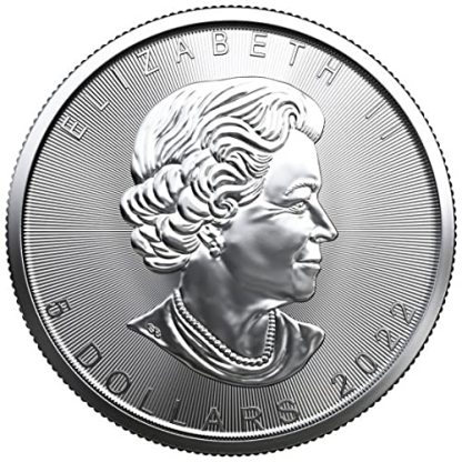 Last Day 60% OFF🔥🍁1 oz Canadian Silver Maple Leaf Coin (BU)