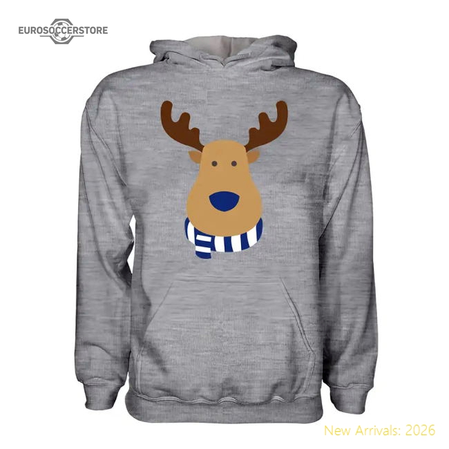 Birmingham City Rudolph Supporters Hoody (grey) - Kids-Football Jersey Hub