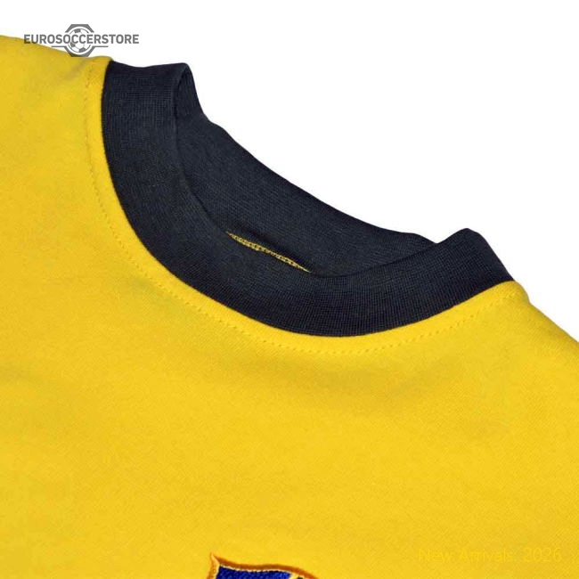 Brazil 1970 World Cup Jarzinho Retro Football Shirt-Football Jersey Hub