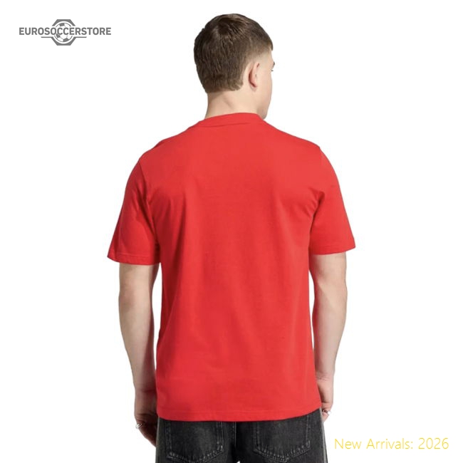 2026-2027 Spain DNA Graphic Tee (Red)-Football Jersey Hub