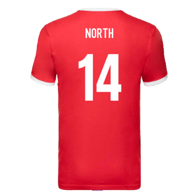 British and Irish Lions Ringer T-Shirt (Red) (North 14)-Football Jersey Hub
