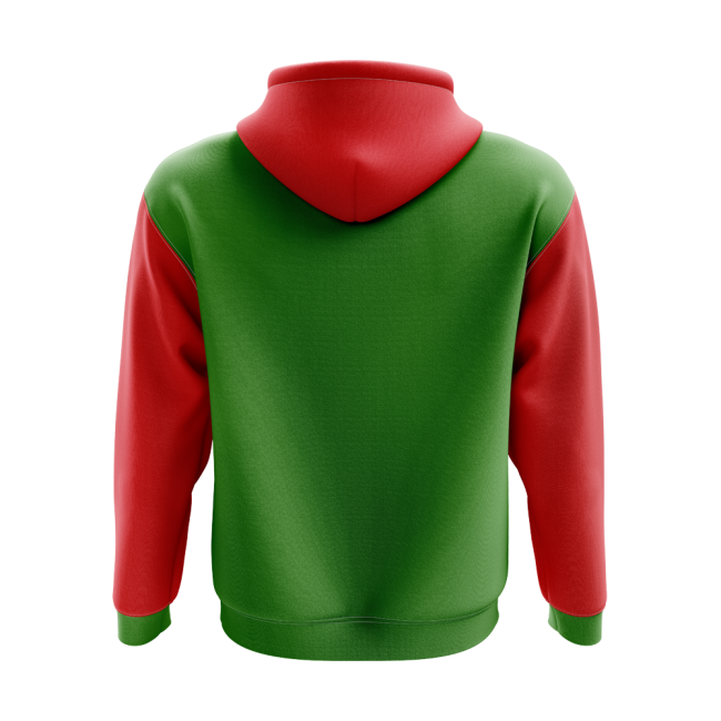 Chechnya Concept Country Football Hoody (Green)-Football Jersey Hub
