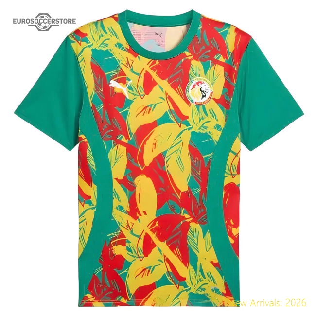2024-2025 Senegal Prematch SS Jersey (Green)-Football Jersey Hub