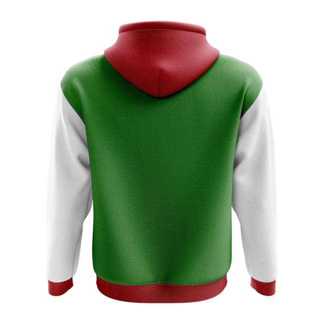Ingushetia Concept Country Football Hoody (Green)-Football Jersey Hub