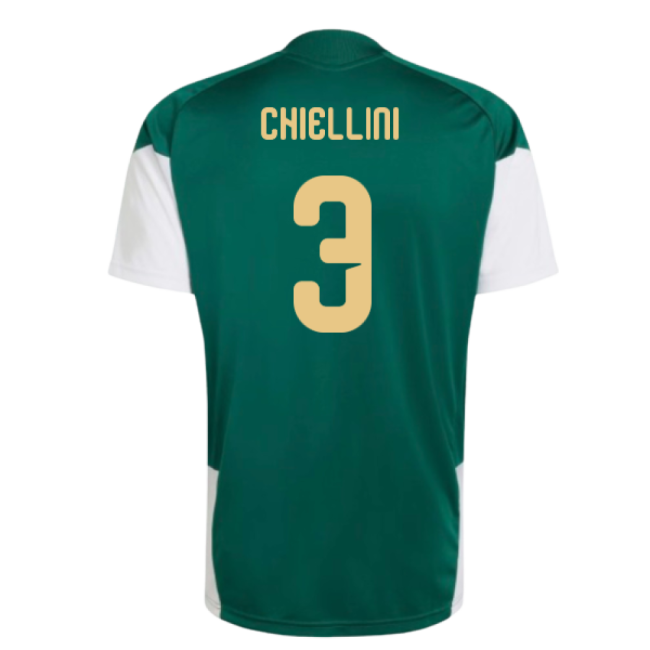 2026-2027 Italy Training Jersey (Green) (Chiellini 3)-Football Jersey Hub