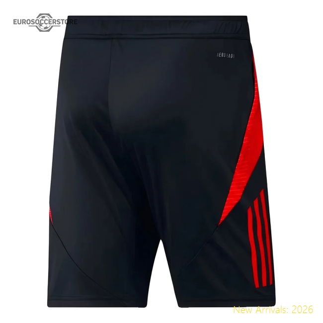 2024-2025 Belgium Training Shorts (Black)-Football Jersey Hub