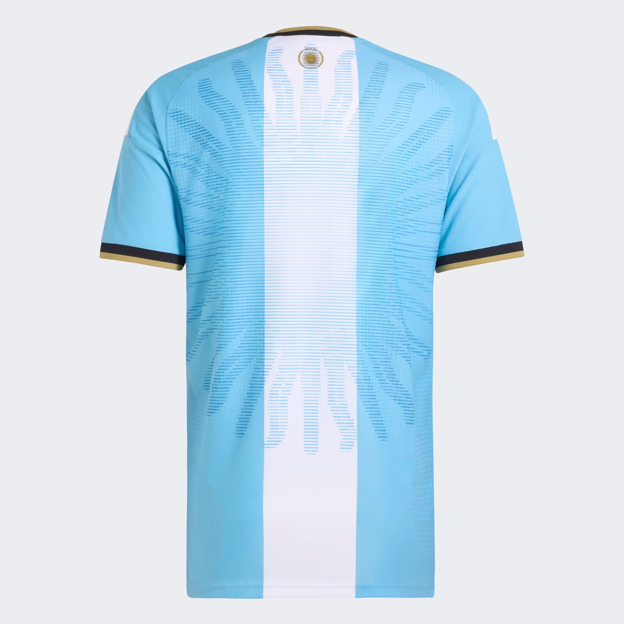 2026 Argentina Messi Farewell Shirt Blank – Women's Jersey | Argentina National Team Kit