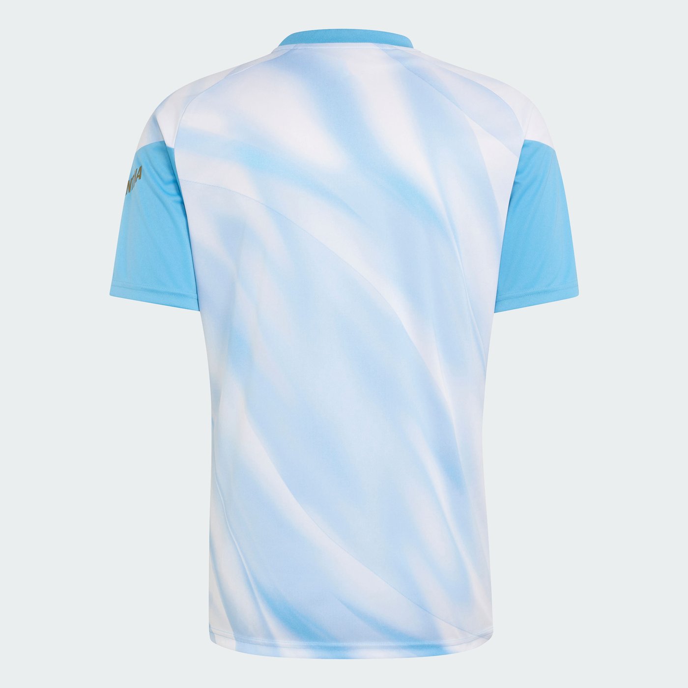 2026 Argentina Messi special edition pre-match warm-up shirt in sky blue and white - Kids - view 2