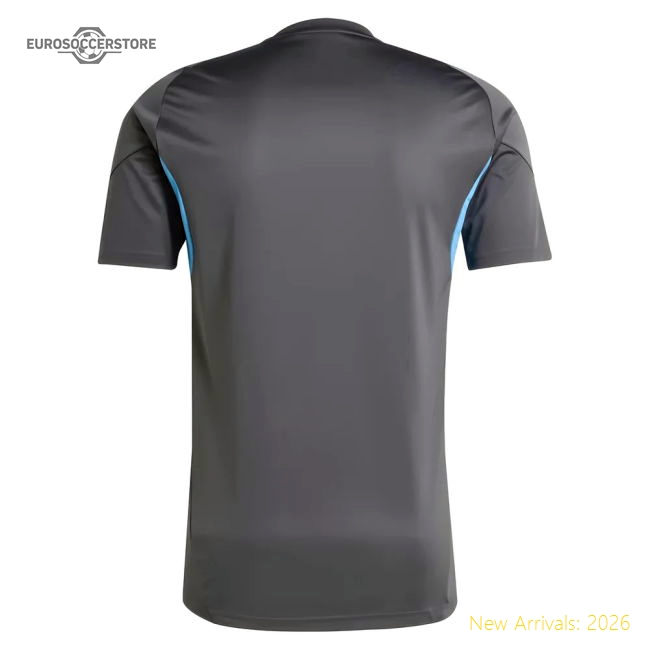 2025-2026 Newcastle Training Shirt (Grey) (Botman 4)-Football Jersey Hub