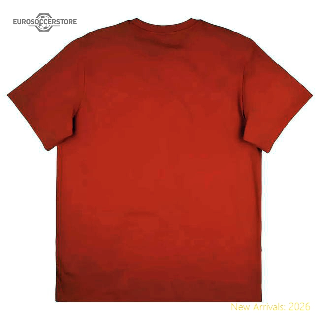 2025-2026 Bayern Munich Seasonal Graphic Tee (Red) (Lewandowski 9)-Football Jersey Hub