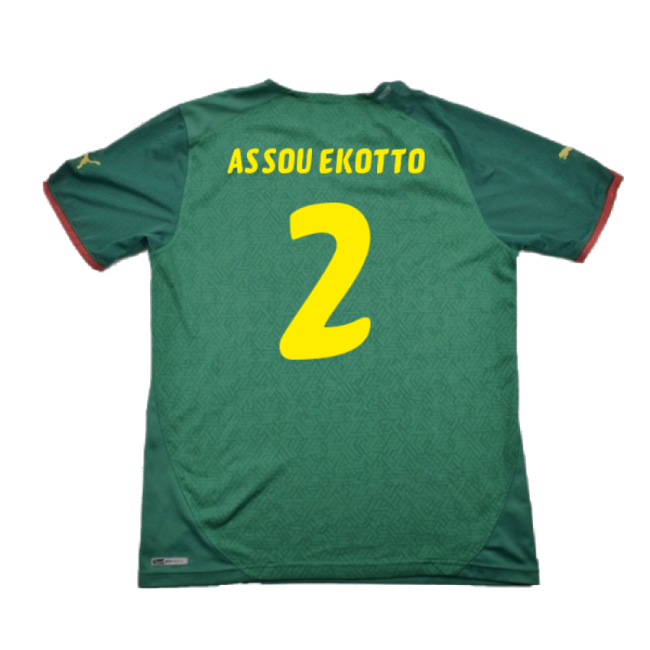 Cameroon 2010-11 Home Shirt ((Excellent) L) (Assou Ekotto 2)-Football Jersey Hub