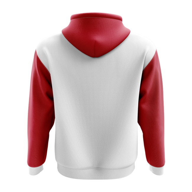 Jersey Concept Country Football Hoody (White)-Football Jersey Hub