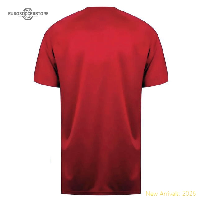 Sunderland Poly T-Shirt (Red) (Neil 4)-Football Jersey Hub