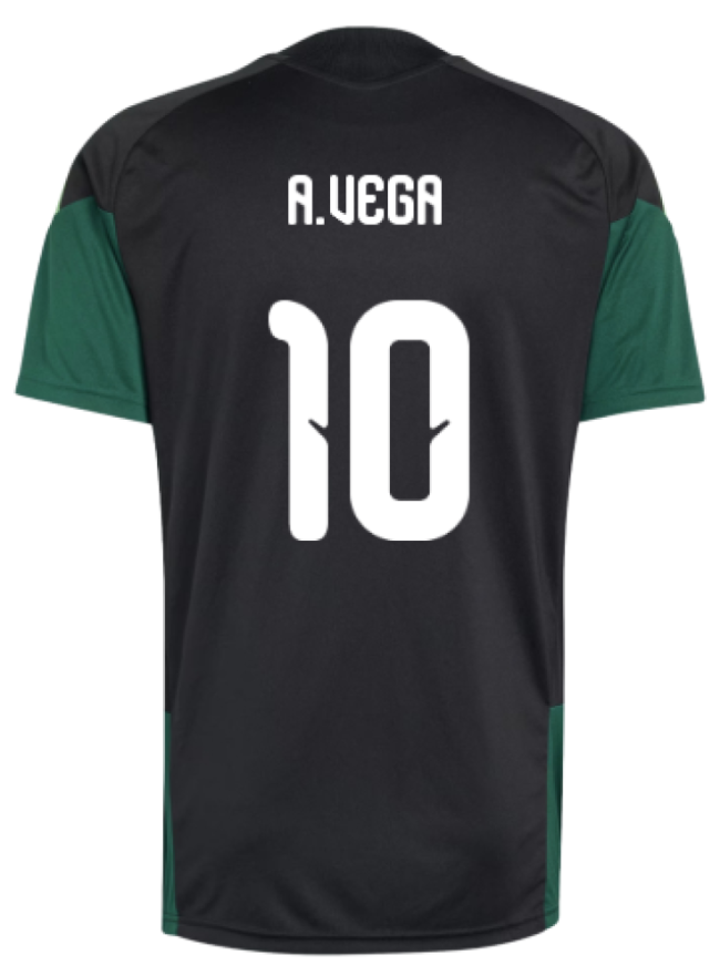 2026-2027 Mexico Training Jersey (Black) (A.Vega 10)-Football Jersey Hub
