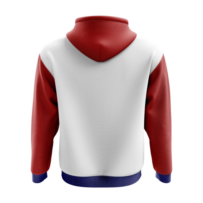 Puerto Rico Concept Country Football Hoody (White)-Football Jersey Hub