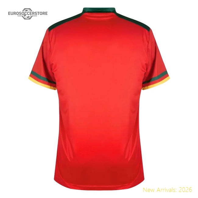 2022-2023 Cameroon Third Pro Football Shirt-Football Jersey Hub