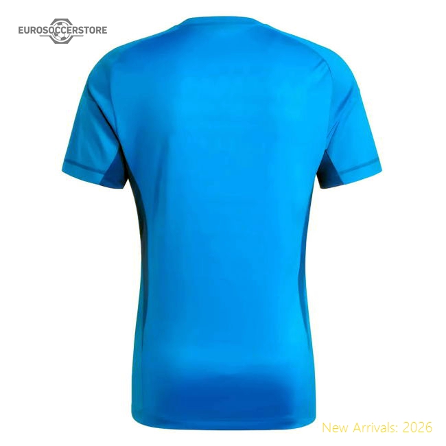 2023-2024 Juventus Home Goalkeeper Shirt (Blue) (Szczesny 1)-Football Jersey Hub