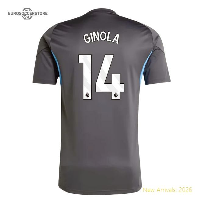 2025-2026 Newcastle Training Shirt (Grey) (Ginola 14)-Football Jersey Hub