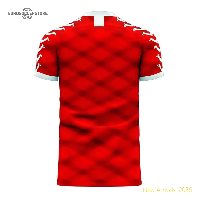 Denmark 2025-2026 Home Concept Football Kit (Viper) (SCHMEICHEL 1)-Football Jersey Hub
