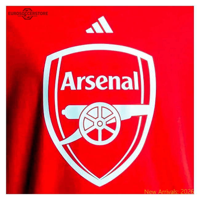 2024-2025 Arsenal DNA Graphic Tee (Red)-Football Jersey Hub
