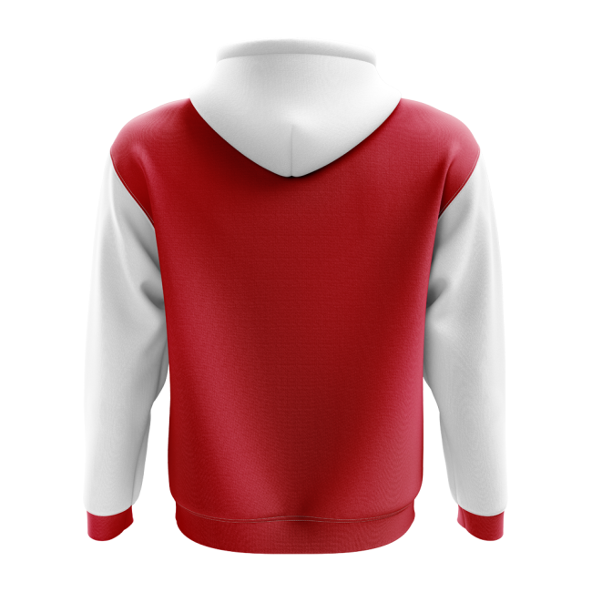 Kyrgyzstan Concept Country Football Hoody (Red)-Football Jersey Hub