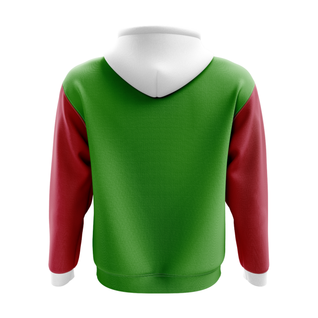 Wales Concept Country Football Hoody (Green)-Football Jersey Hub