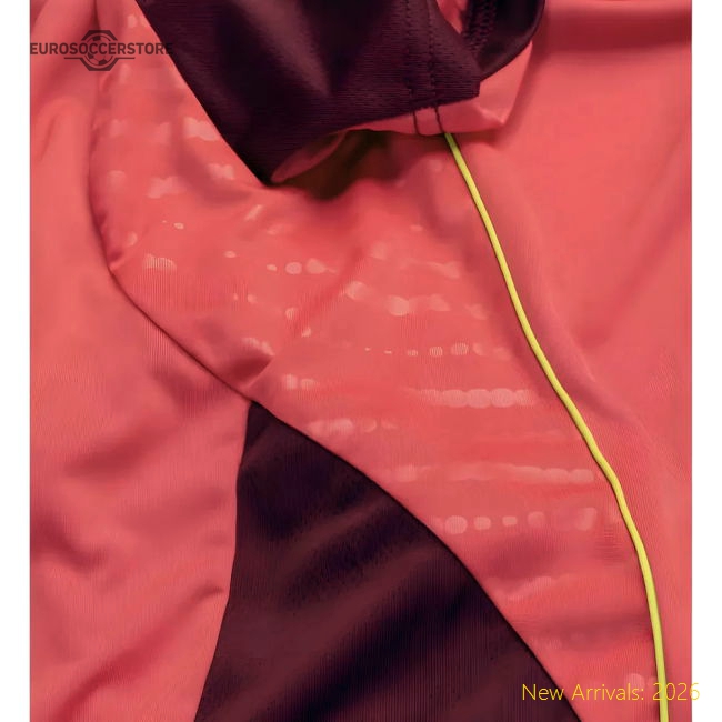 2025-2026 Germany Training Shirt (Core Pink) - Womens-Football Jersey Hub