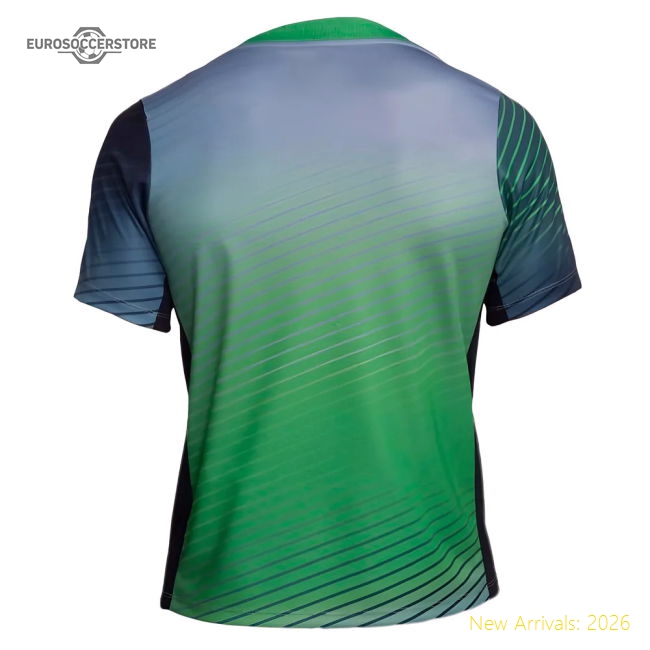 2024-2025 Nigeria Pre-Match Training Shirt (Cool Grey)-Football Jersey Hub