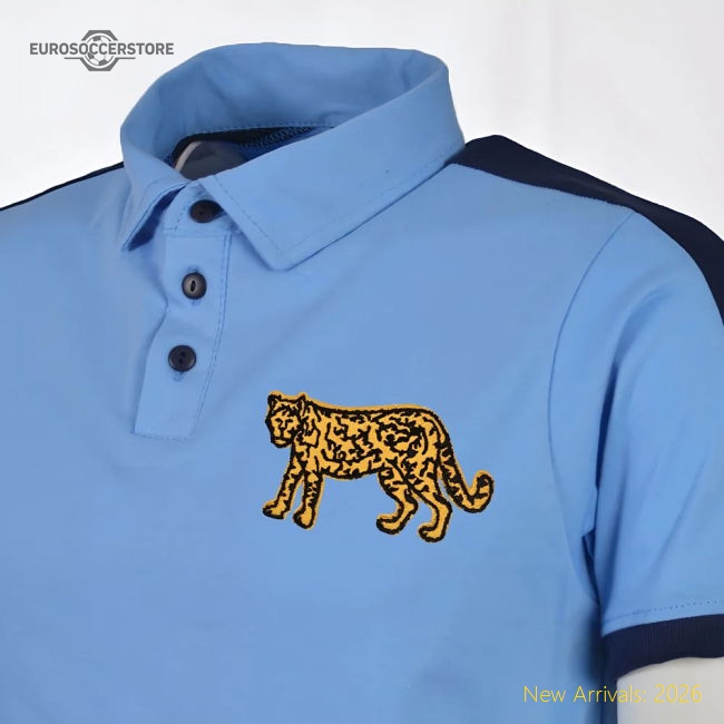 Argentina Rugby World Cup Polo-Football Jersey Hub