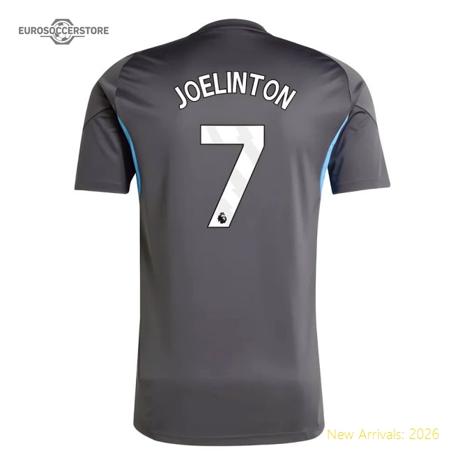 2025-2026 Newcastle Training Shirt (Grey) (Joelinton 7)-Football Jersey Hub