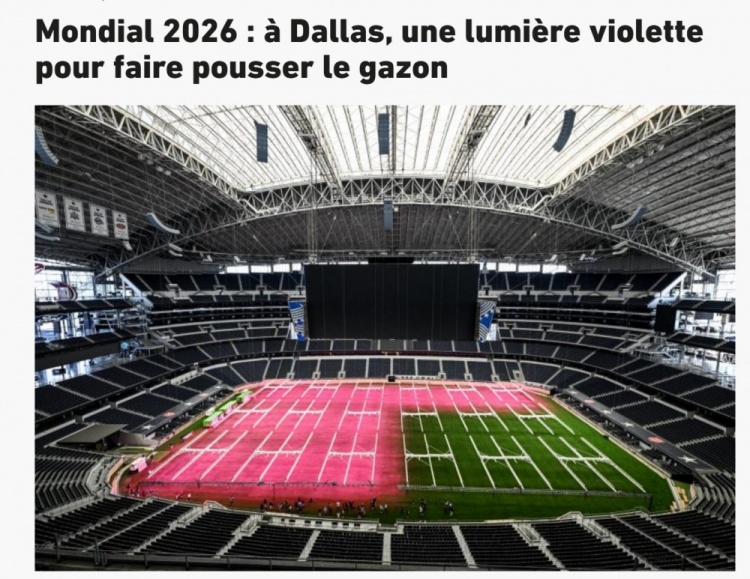 Stadium