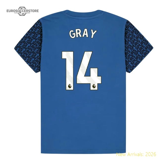 Tottenham Hotspur Graphic T-shirt (Blue) - Kids (Gray 14)-Football Shirts Shop