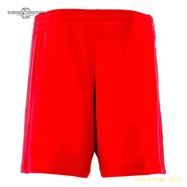2024-2025 Bayern Munich DNA Shorts (Red)-Football Shirts Shop